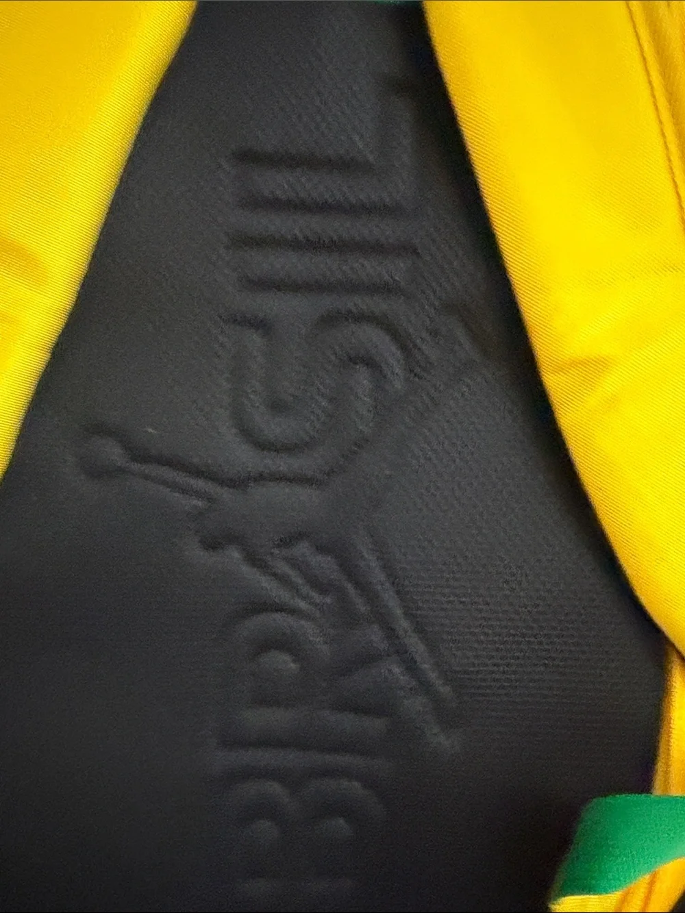 Jordan FIFA Brasil Yellow and Green Logo Backpack